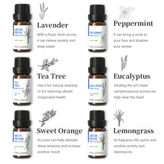 Plant Aromatherapy Essential Oil 10ml Set 6 Piece Set