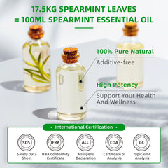 HIQILI Spearmint Essential Oils, 100ML Pure Plant Oil for Diffuser, Humidifier, Massage, Muscle Relief, Bath, DIY Candles&Soaps