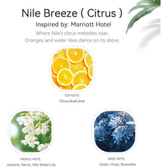 Collection Diffuser Oil for Diffusers -Nile Breeze - Aroma Essential Oil Blends for Aromatherapy Diffuser Machine,Citrus Jasmine