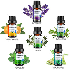 Pure Essential Oils 6pcs Gift Set Natural Plant Aroma Essential Oil Diffuser Lavender Eucalyptus Sweet orange Tea Tree Oil