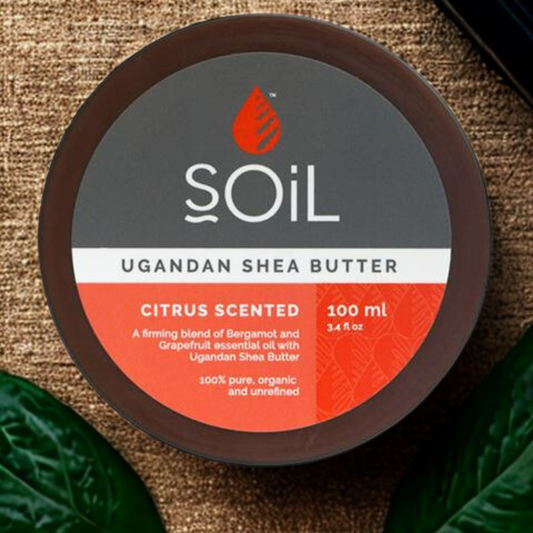 Organic Shea Butter - Citrus Scented 100ml Ivory Iphigenia