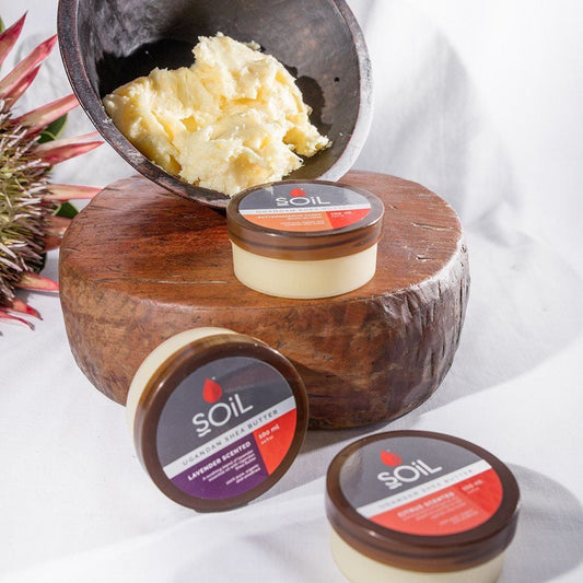 Organic Shea Butter - Lavender Scented 100ml Ivory Iphigenia